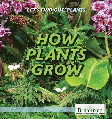 Cathleen Small - How Plants Grow, Inbunden