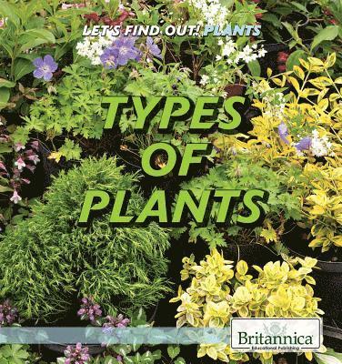Maddie Gibbs - Types of Plants, Inbunden