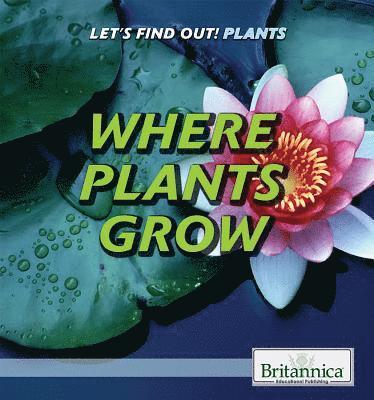 Rebecca Kraft Rector - Where Plants Grow, Häftad
