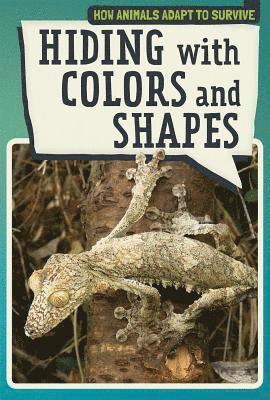 Melissa Raé Shofner - Hiding with Colors and Shapes, Häftad