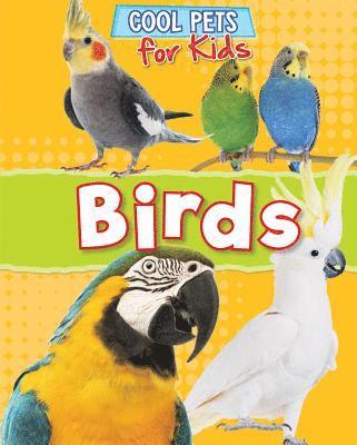 Dawn Titmus - Birds, Inbunden