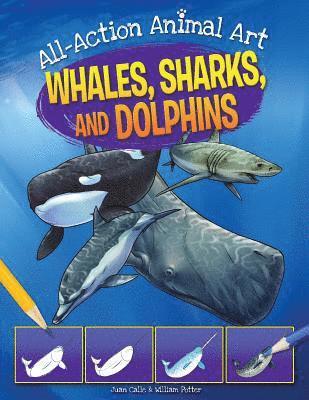 William C. Potter - Whales, Sharks, and Dolphins, Häftad