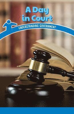 Sheri Lang - A Day in Court: Understanding Government, Häftad