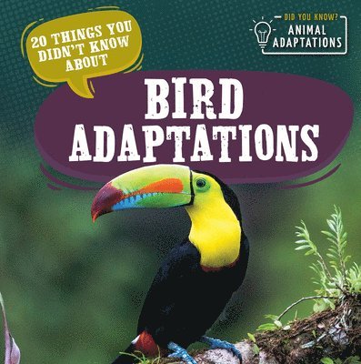 Sloane Hughes - 20 Things You Didn't Know about Bird Adaptations, Inbunden. Tillgänglighet: Lägg i varukorg