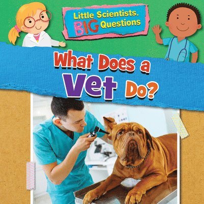 What Does a Vet Do? 1