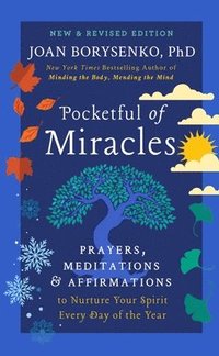 bokomslag Pocketful of Miracles (Revised and Updated)