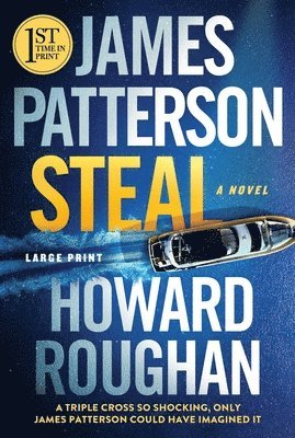 James Patterson, Howard Roughan - Steal, Häftad