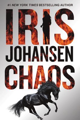 bokomslag Chaos