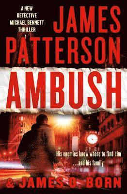 James Patterson, James O. Born - Ambush, Häftad