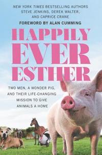 bokomslag Happily Ever Esther