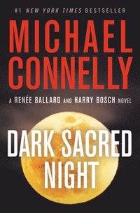 bokomslag Dark Sacred Night