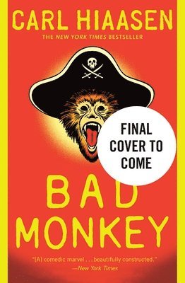 bokomslag Bad Monkey