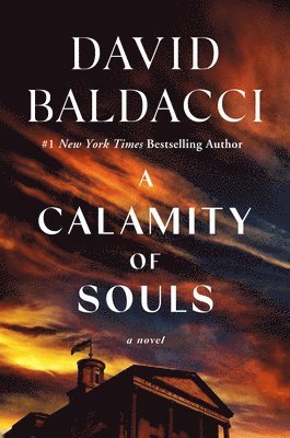 bokomslag A Calamity of Souls