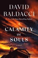bokomslag Calamity Of Souls