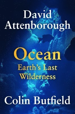 bokomslag Ocean: Earth's Last Wilderness