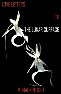 M Mackintosh - Love Letters to the Lunar Surface, Häftad. Tillgänglighet: Lägg i varukorg