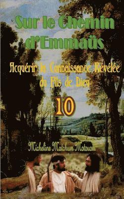 bokomslag Sur le Chemin d?Emmaüs: Acquérir la Connaissance Révélée du Fils de Dieu