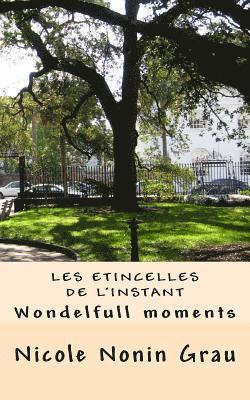 Les etincelles de l'instant: Wondelfull moments 1