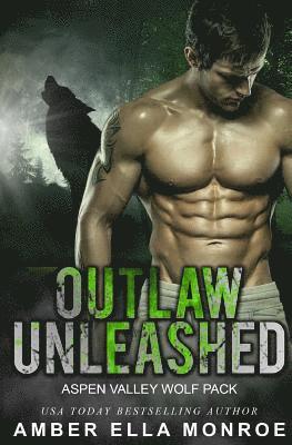 bokomslag Outlaw Unleashed