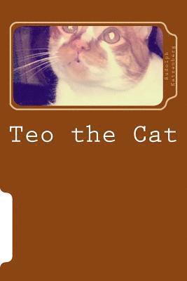 Teo the Cat 1