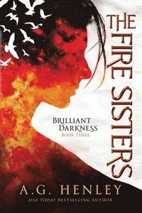 bokomslag The Fire Sisters