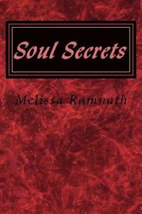 bokomslag Soul Secrets