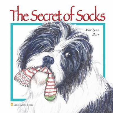bokomslag The Secret of Socks