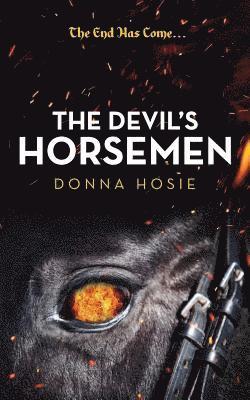 bokomslag Devil's Horsemen