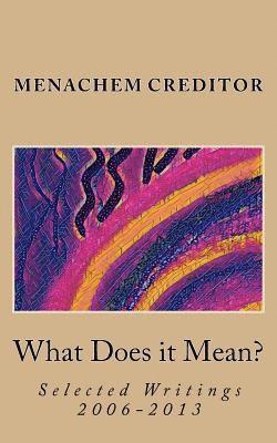 What Does it Mean?: Selected Writings 2006-2013 1