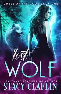 bokomslag Lost Wolf