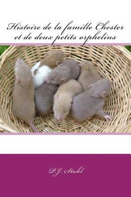 Histoire de la famille Chester et de deux petits orphelins 1