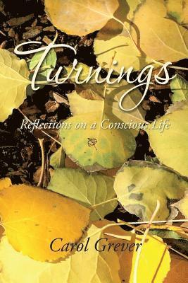 Turnings: Reflections on a Conscious Life 1