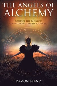 bokomslag The Angels of Alchemy