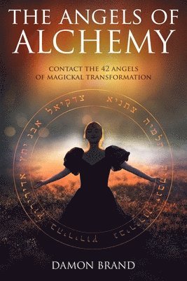 bokomslag Angels of Alchemy