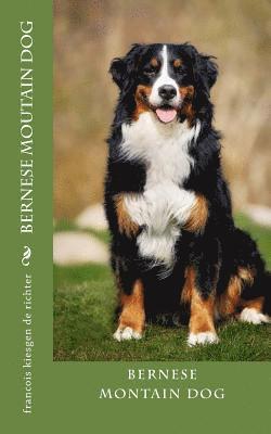 bokomslag bernese moutain dog