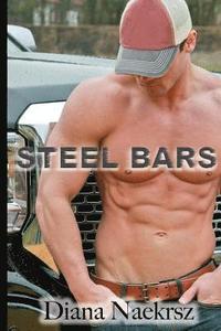 bokomslag Steel Bars