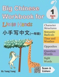 bokomslag Big Chinese Workbook for Little Hands, Level 1