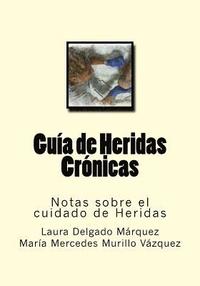 bokomslag Guia de Heridas Cronicas: Notas sobre el cuidado de Heridas