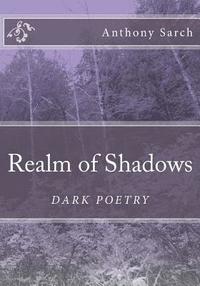 bokomslag Realm of Shadows