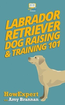 bokomslag Labrador Retriever Dog Raising & Training 101