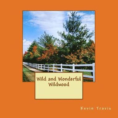 bokomslag Wild and Wonderful Wildwood