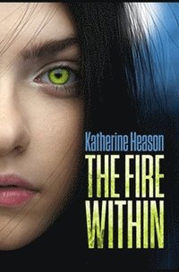 bokomslag Fire Within