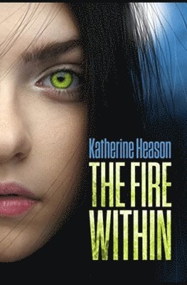 bokomslag Fire Within