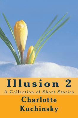 Charlotte Kuchinsky - Illusion 2: A Collection of Short Stories, Häftad