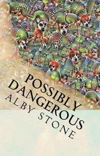 bokomslag Possibly Dangerous: Short Fiction