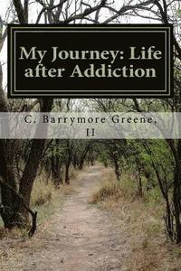 bokomslag My Journey: Life after Addiction: - The Lazarus Man