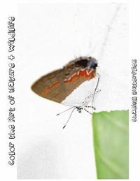 bokomslag Chasing Butterflies [Line Drawings]: Color the Art of Nature + Wildlife