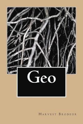 bokomslag Geo