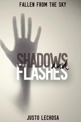 bokomslag Shadows and Flashes