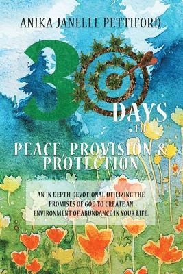 bokomslag 30 Days to Peace, Provision and Protection: An in-depth Devotional